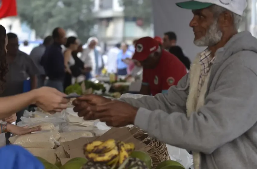  Programa Desenrola Rural entra em vigor a partir de hoje