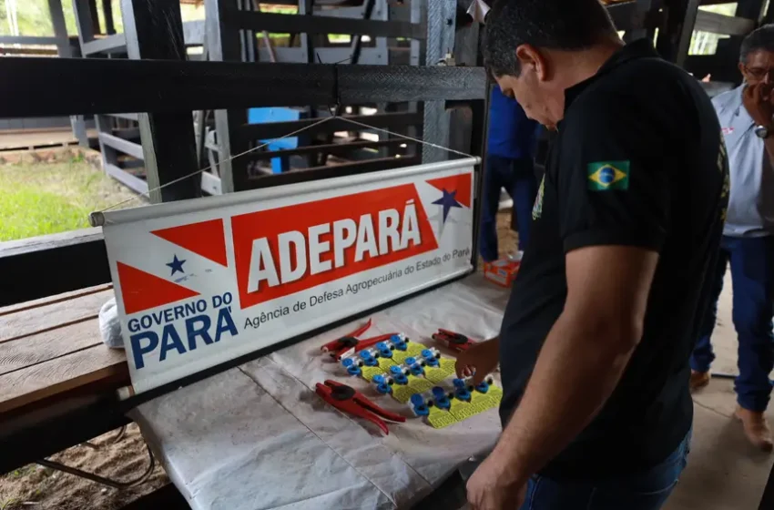 Adepará realiza campanha de atualização de cadastro de animais