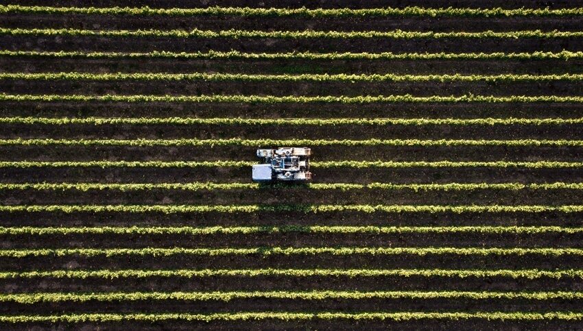 Seguro rural cobre só 14% da área agrícola