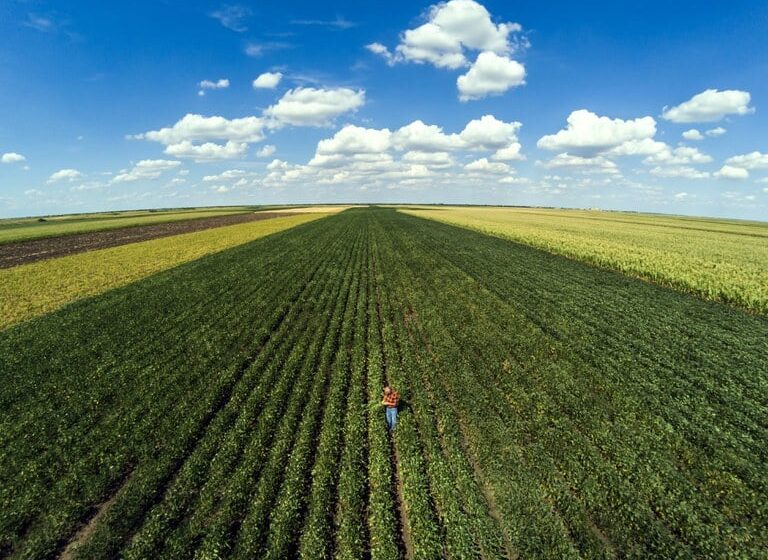 Em dez meses, custeio do crédito rural chega a R$ 298,6 bilhões