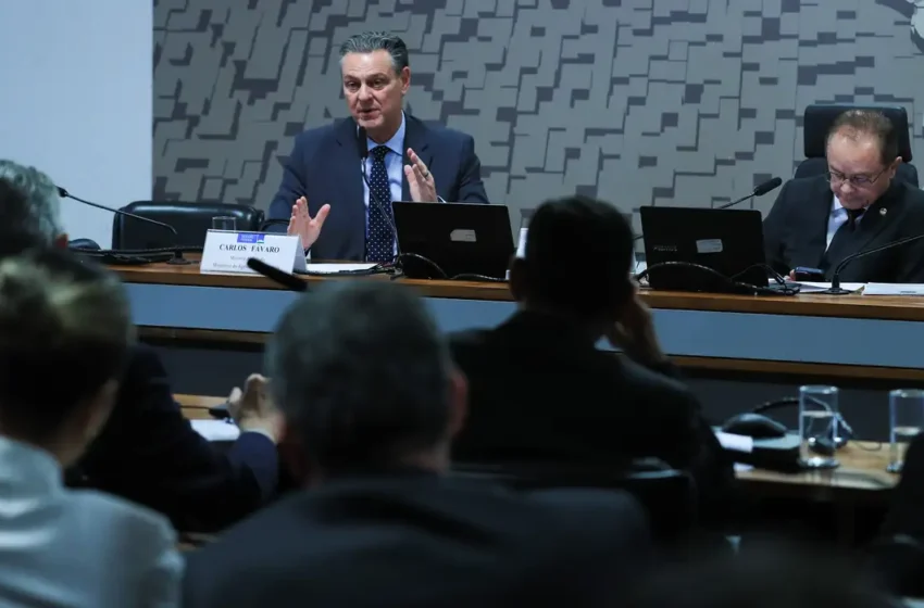 Ministro da Agricultura anuncia, no Senado Federal, que foco de gripe aviária está contido