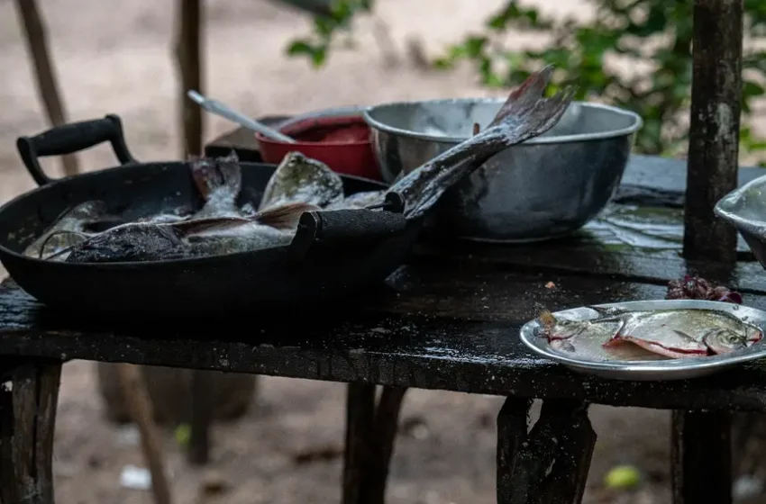 Gastronomia e sustentabilidade se unem em comunidades da Flona Trombetas