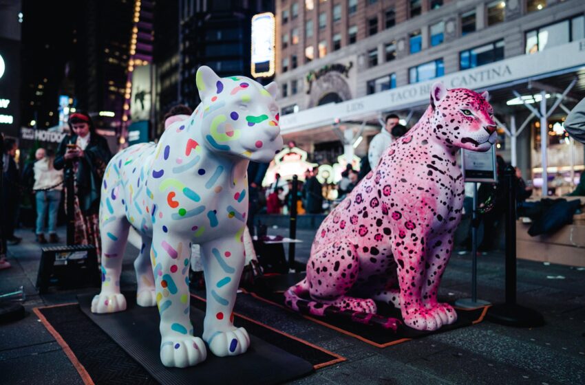 Belém verá réplicas de felinos na ornamentação da COP 30