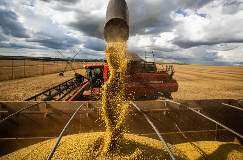  Queda no preço dos alimentos vai permanecer, diz ministro