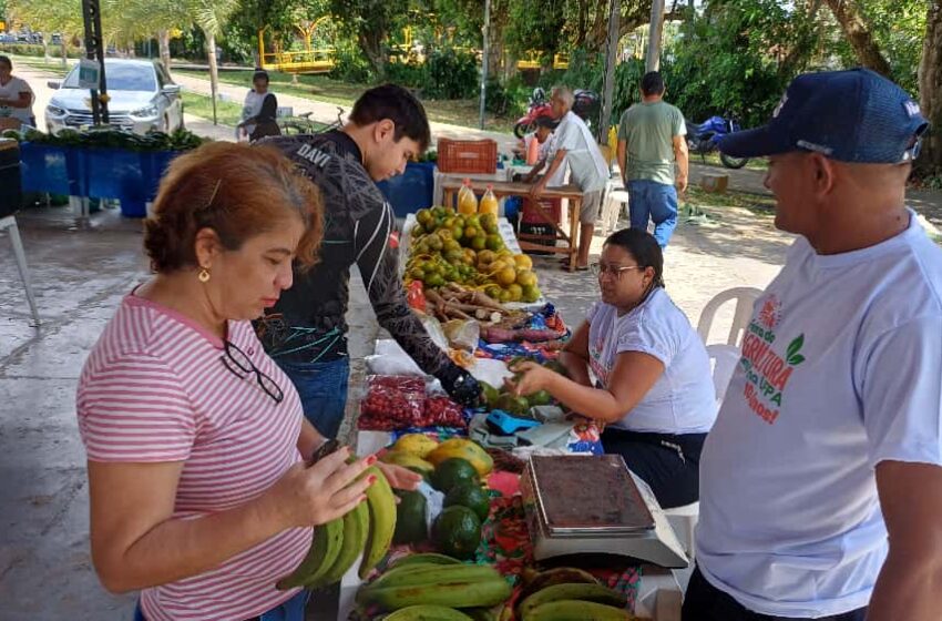  Feira da Agricultura Familiar da UFPA Celebra 10 Anos de existência