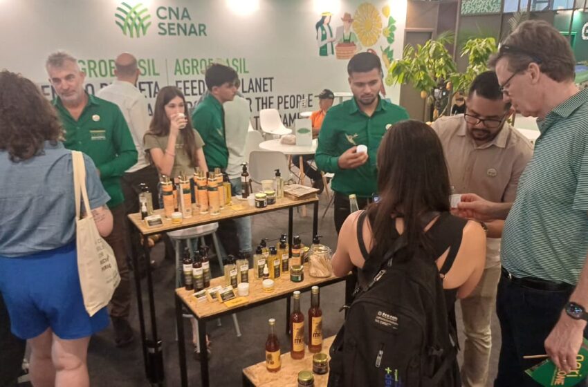  AgriZone Destaca Sustentabilidade Inovação Tecnológica Agricultura de baixo carbono e Segurança Alimentar na COP30