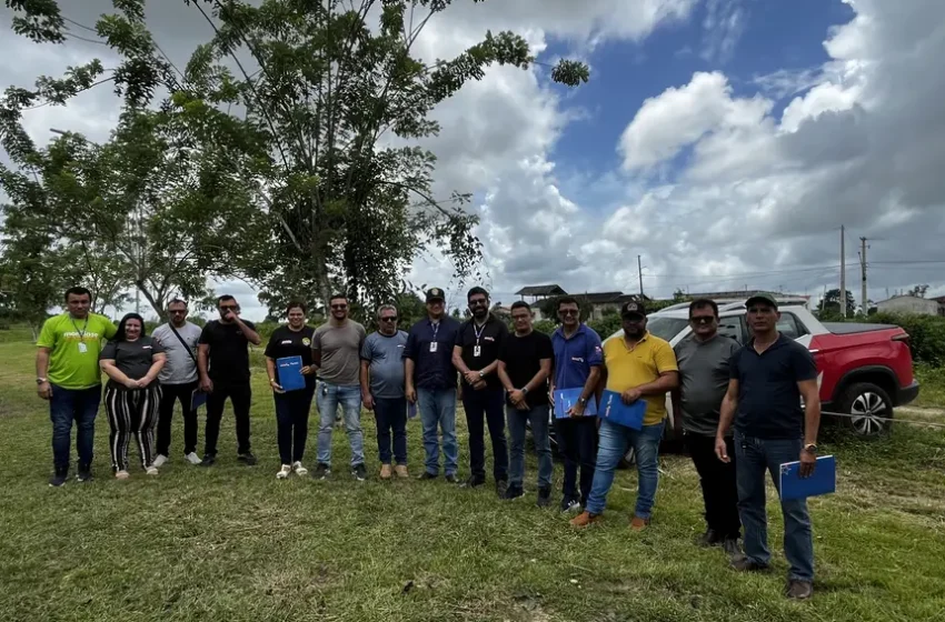  Adepará garante erradicação da mosca-da-carambola em seis municípios do Pará e fortalece defesa da fruticultura