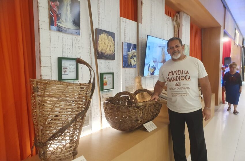  Exclusivo: Mandioca sustenta economia rural e tradição cultural no Pará