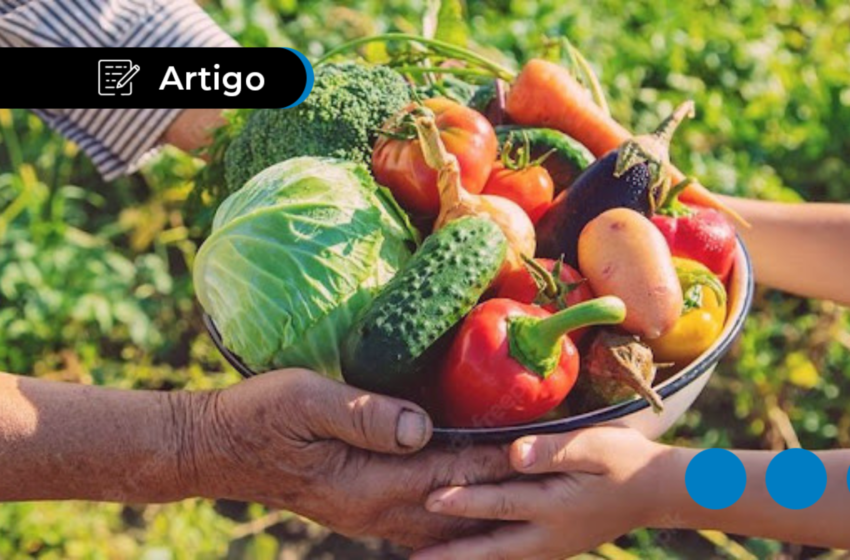  Plano Safra da Agricultura Familiar deve ser anunciado nesta terça-feira e pode impulsionar produção no Pará