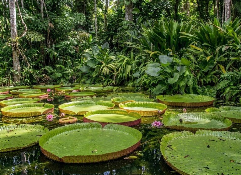  Panorama de minerais críticos e estratégicos na Amazônia é detalhado por estudo