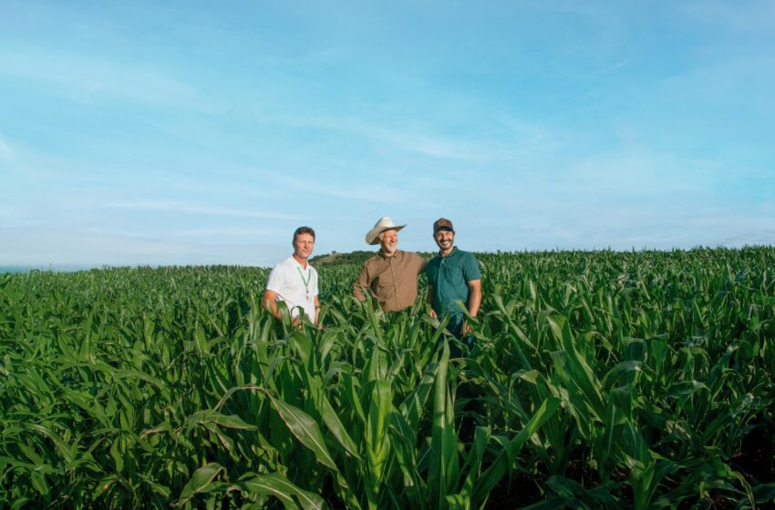  Agricultura e pecuária terão aporte de R$ 72,1 bilhões. Estimativa é realizar mais de 340 mil operações em todo o país para atender produtores rurais de diferentes portes.