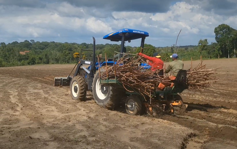  Acará: O Novo Tempo da Agricultura Familiar