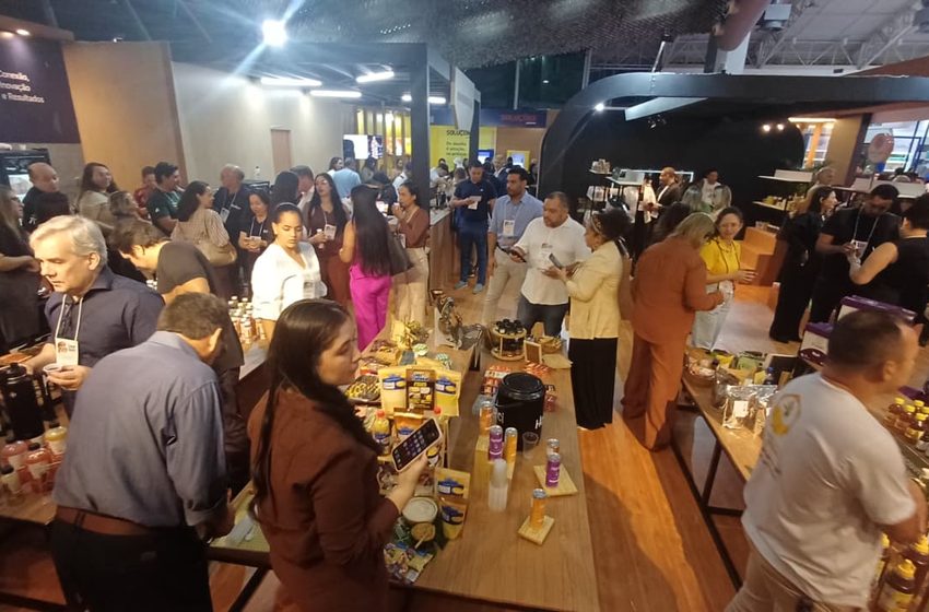 Abelhas entram em cena: Marabá recebe congresso que debate produção, renda e conservação na Amazônia